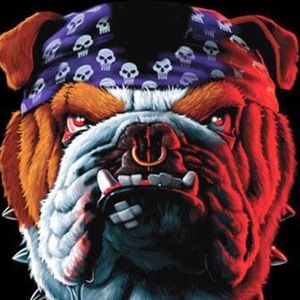 Meet your Posher, Amontreus